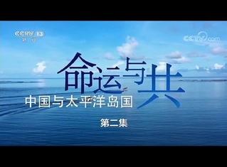 《命运与共——中国与太平洋岛国（第二集）》 斐济菌草