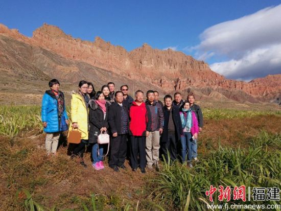 2014-2017年，林占熺团队连续4年在内蒙古鄂尔多斯，对被称为“地球癌症”的砒砂岩开展治理，获得成功。